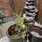 emotional well being retreat