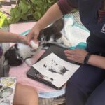 coping with pet loss and grief